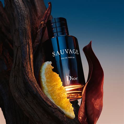 dior sauvage 200ml edp|dior sauvage frauen.